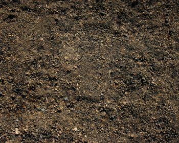 Topsoil